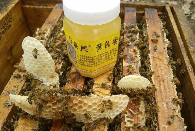 临泉农产品沪上有约 临泉味道亮相上海农交会!